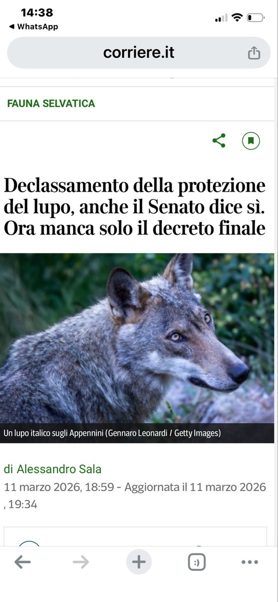 corriere.it/animali/animal… ANCORA UNA VOLTA L’ESEERR UMANO COMMETTE GLI ERRORI DEL PASSATO !