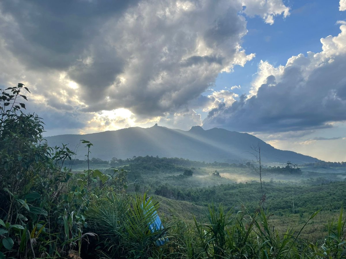 Puring_Kencana's tweet photo. Menunggu senja di batas negeri. 😍
@KemenPariwisata @myTrip_myAdvntr

#kantuk#puringkencana#kapuashulu#kalbar https://t.co/YPC3PD11ub