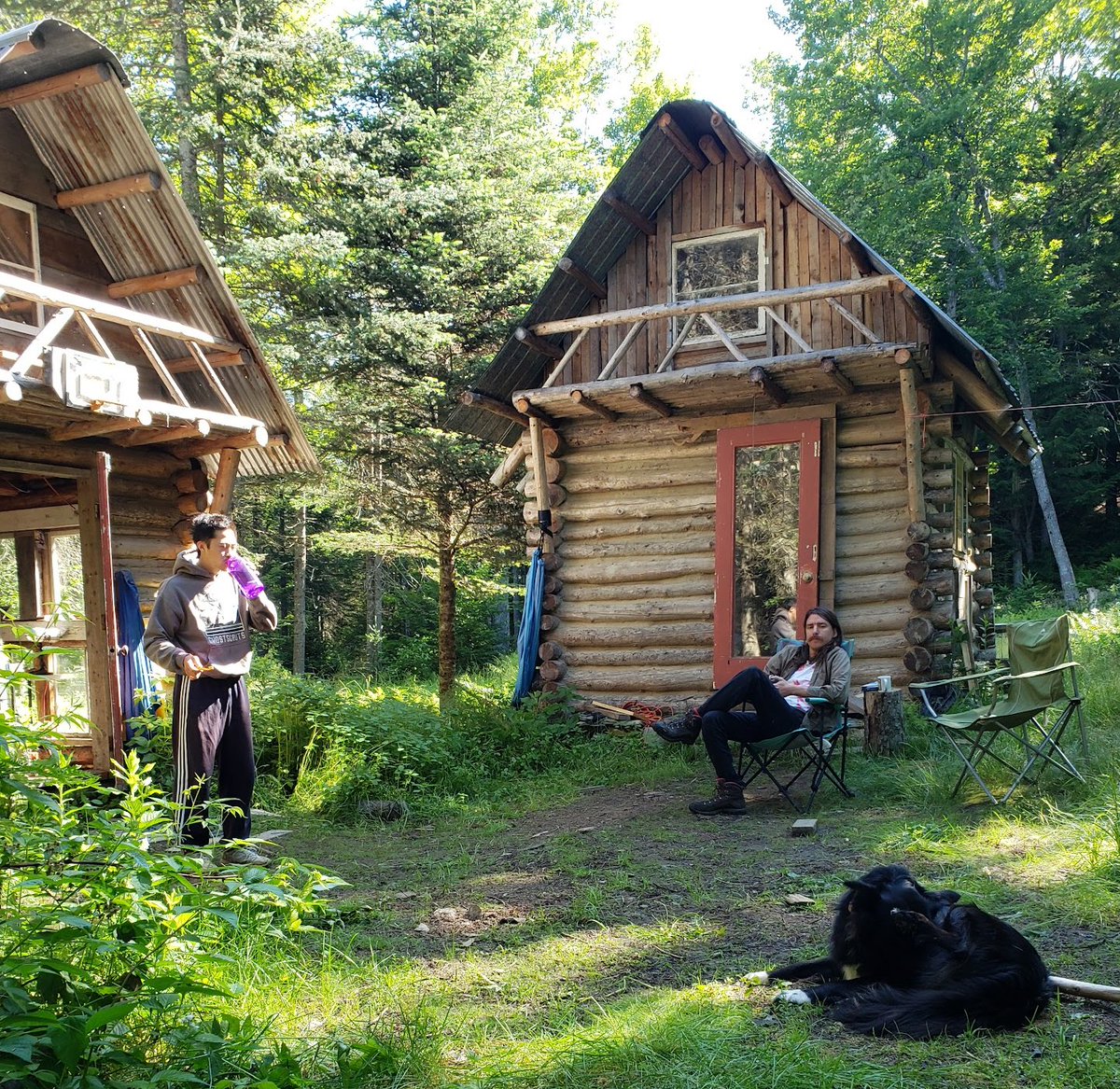 GHOSTSHRIMP tweet media