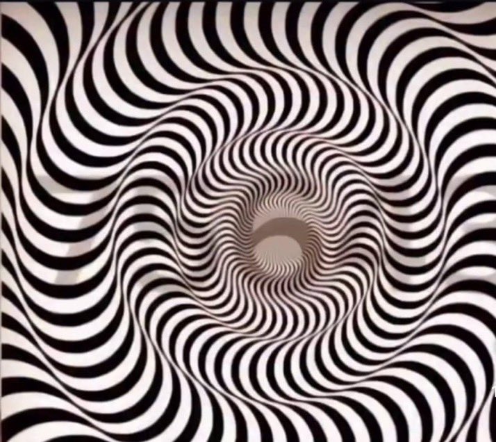 (FAN) Elon musk fanatic tweet media