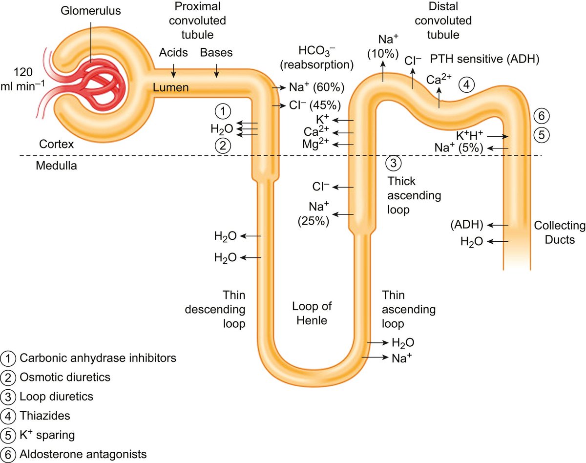 Dr sthanu subramanian tweet media