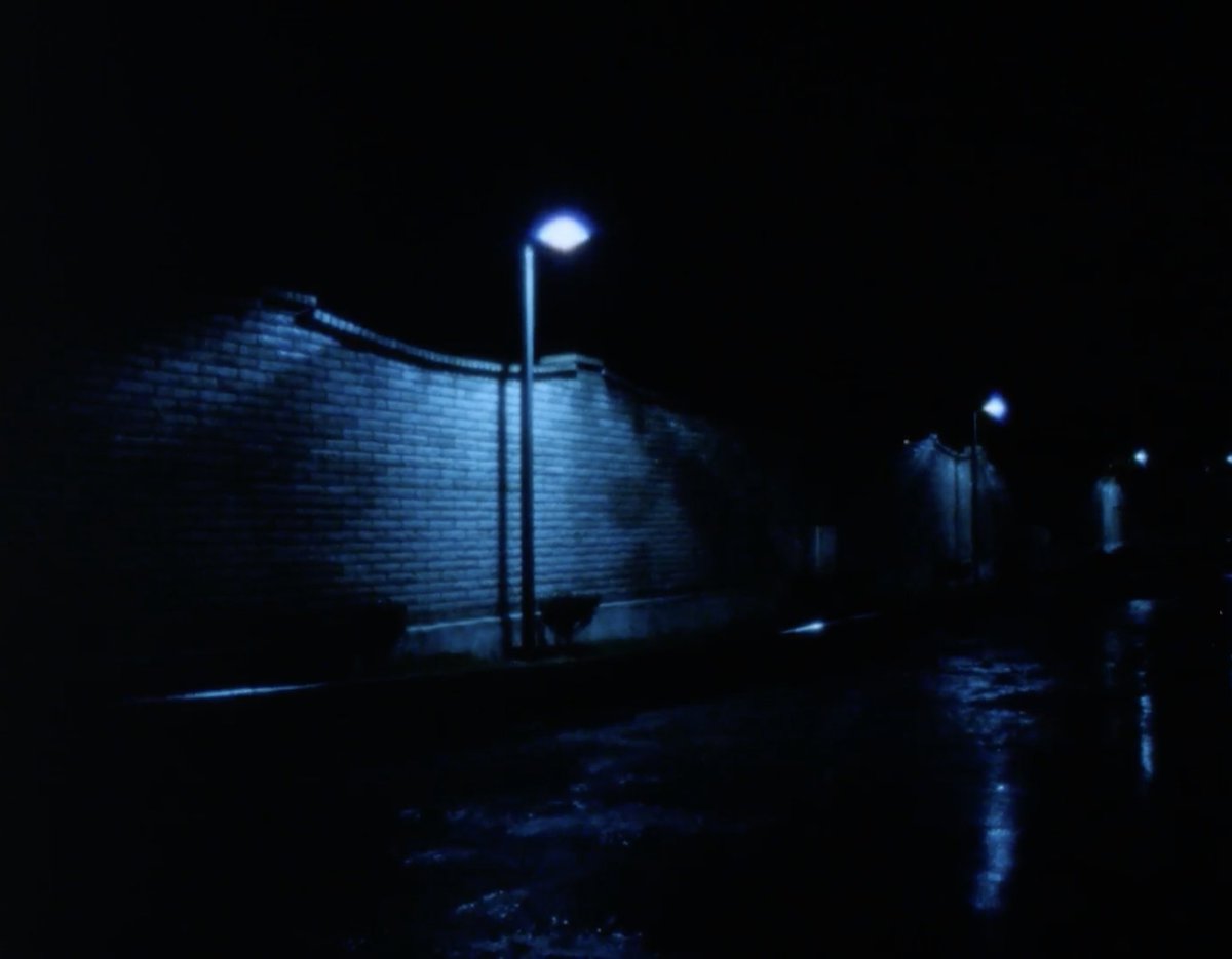 ULTRA DOGME tweet media