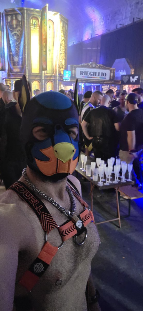 #darklands was such an amazing time 🐶 *wags tail* I can't wait to go back next year.