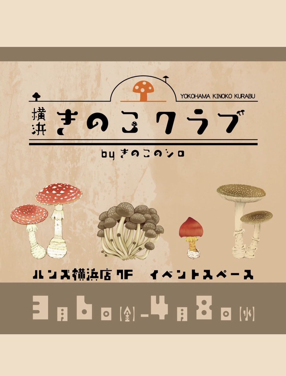 Toadstool_kana's tweet photo. イベントはもう始まっていて
私は後半からの参加です。
素敵な作品が揃っているそうですよ
#きのこのシロ https://t.co/uXizHKhr4u