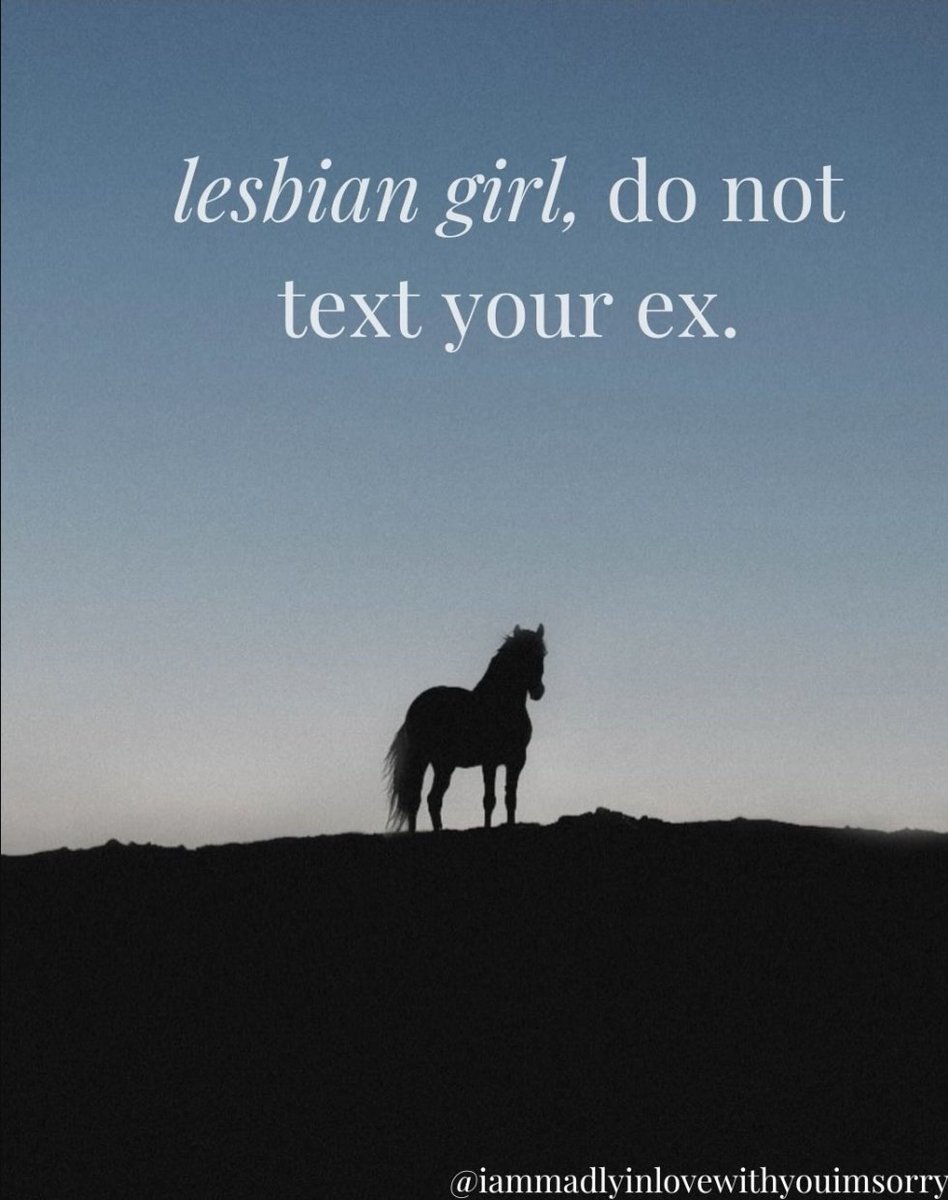 horse tweet media