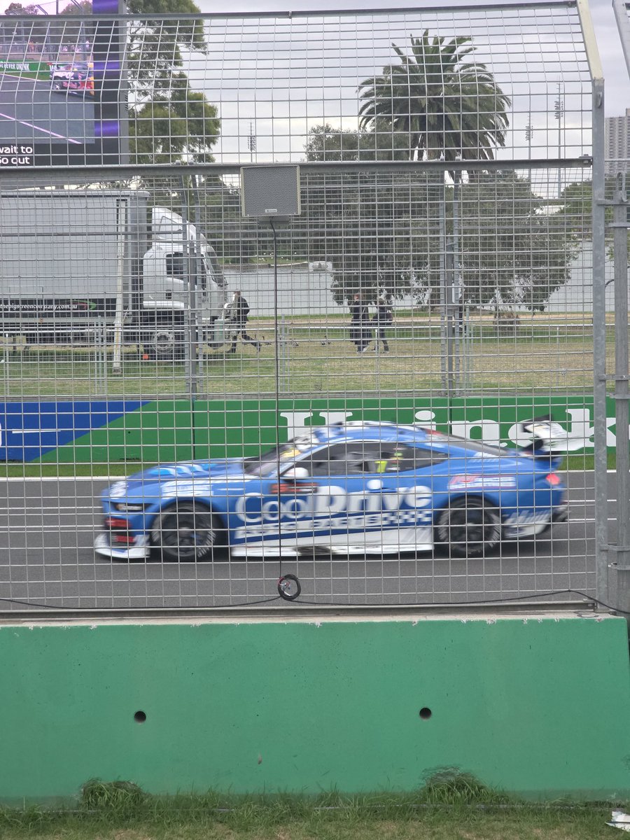 AgitatedPanda tweet media