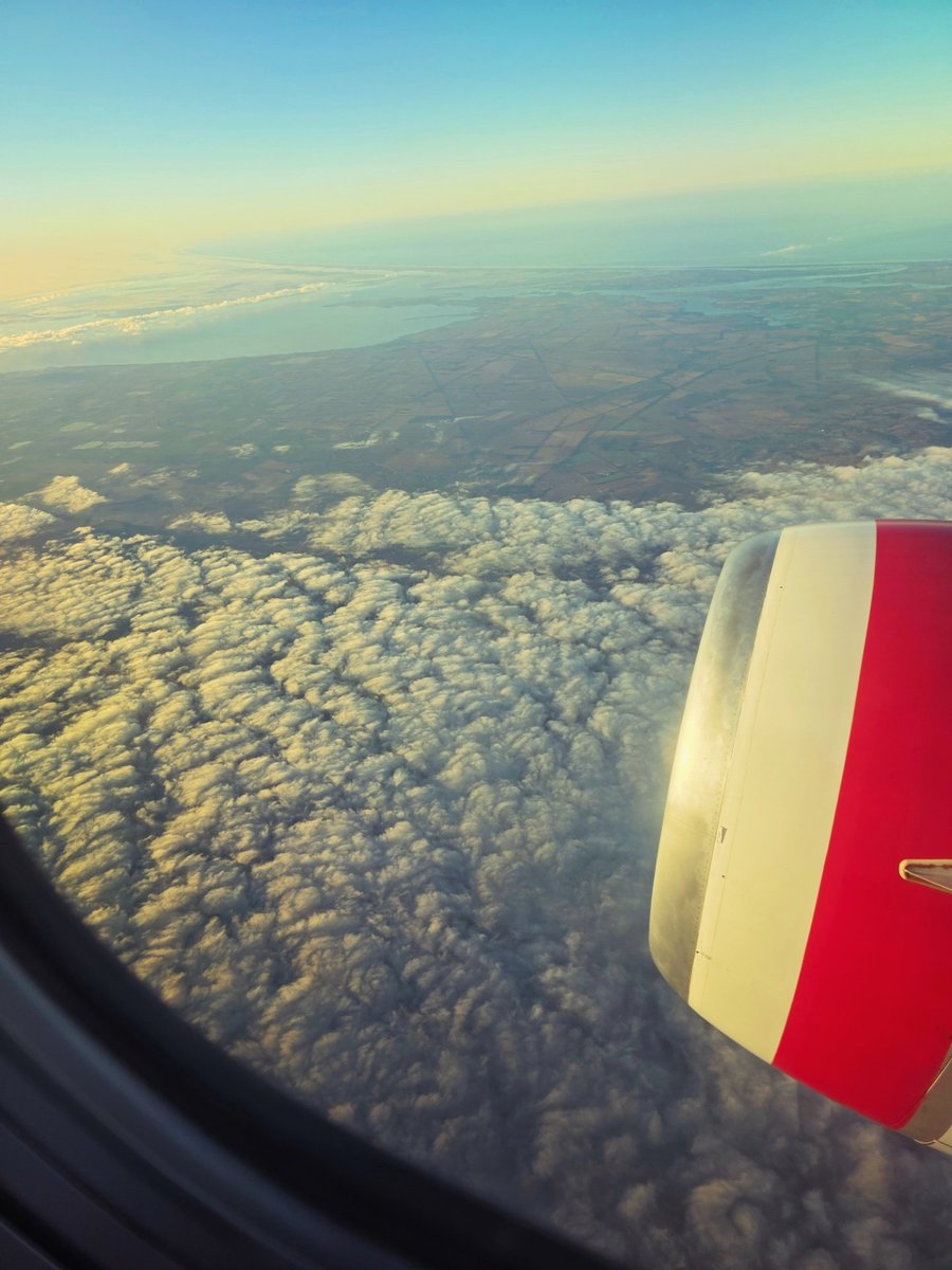 AgitatedPanda tweet media