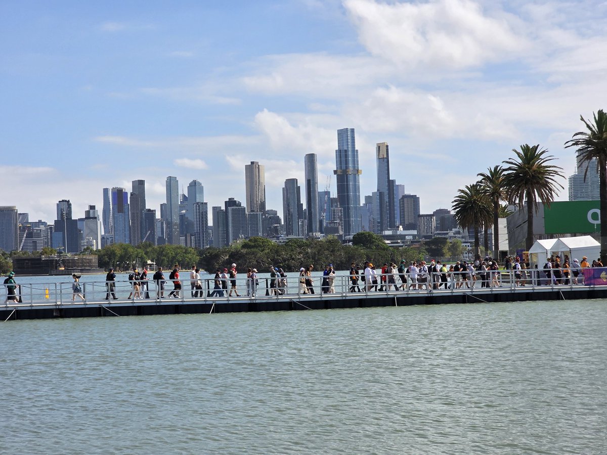 AgitatedPanda tweet media