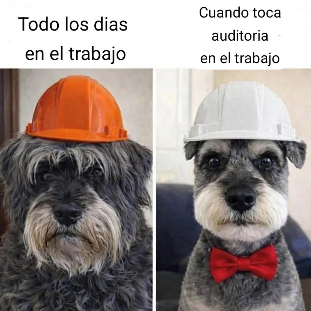 Rincón Curioso tweet media