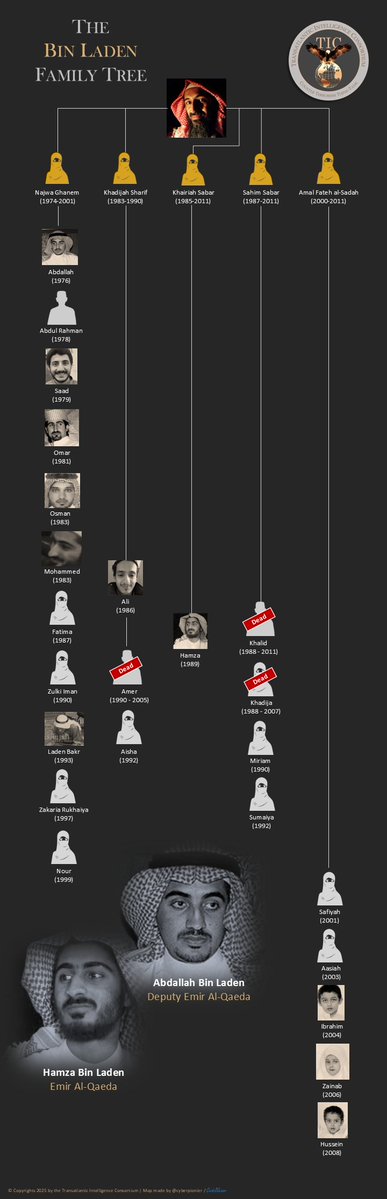 Transatlantic Intelligence Consortium tweet media