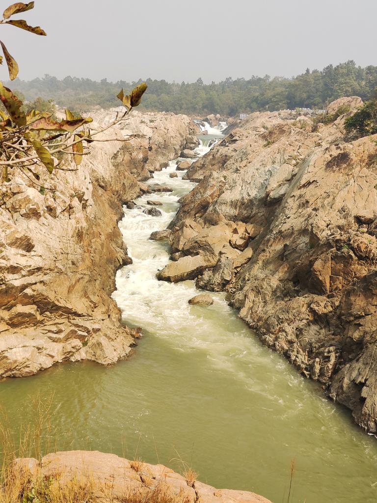 JN Pankaj tweet media