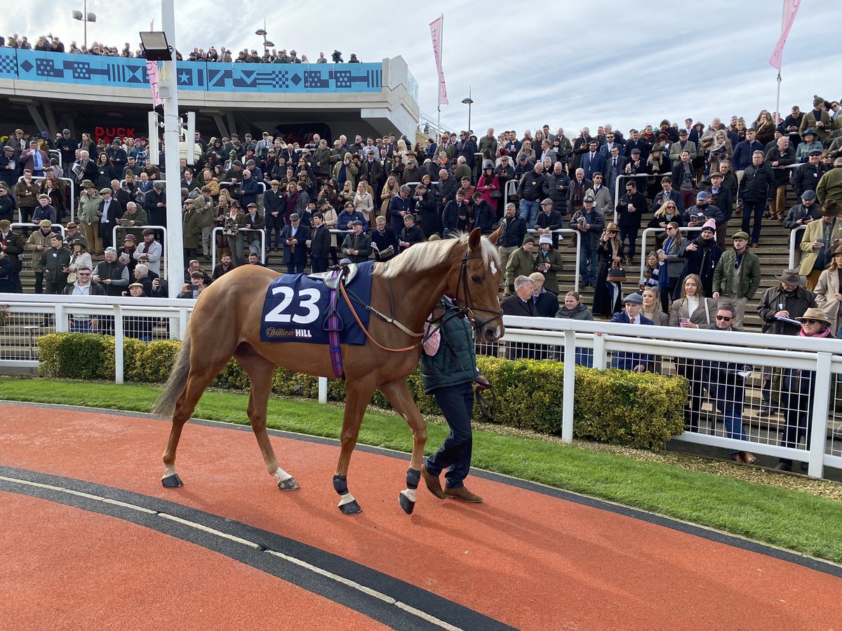 Adam Morgan tweet media