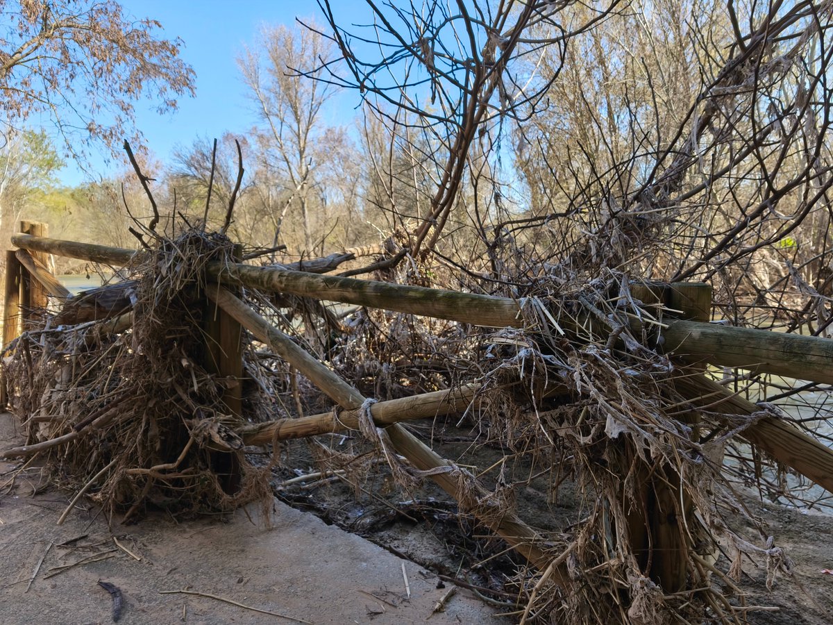Grupo Socialista en Ayto. Guada / ♥️ tweet media