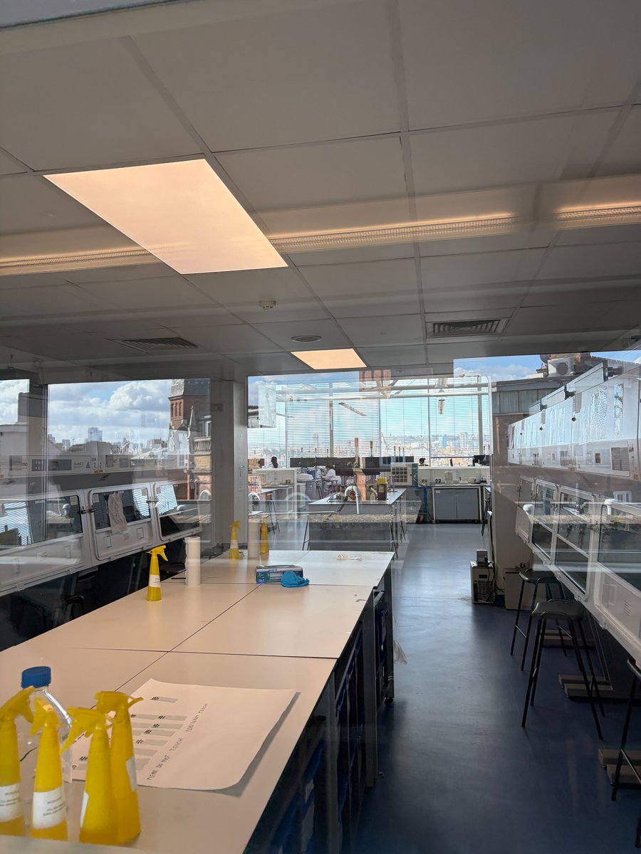 AccessHE tweet media