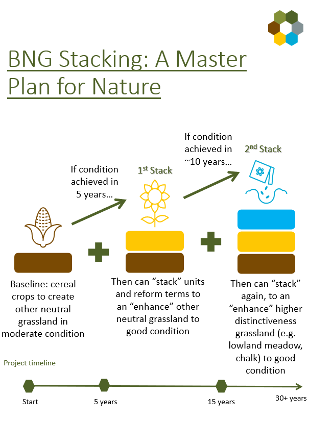 Natural Capital Sol tweet media