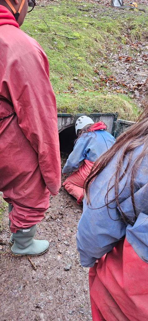 MrsShannon_CCPS's tweet photo. That’s a wrap on Group Humphreys’ incredible week. Last activity — tunnelling. An incredible display of teamwork, determination, and bravery from start to finish. The most amazing group of children supported each other, and proved what can be achieved with resilience and trust. https://t.co/AnVCkqzu9y