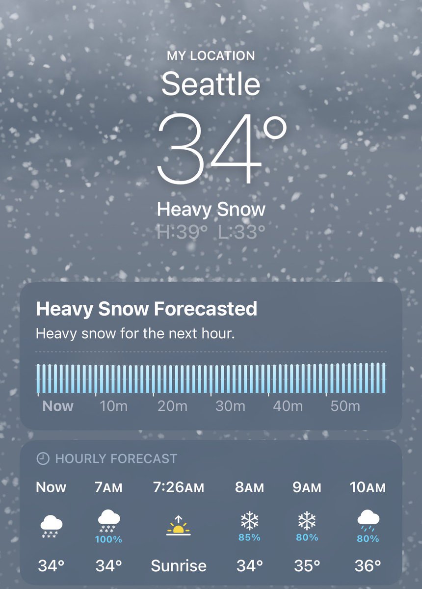 SEATTLESUBMISSIONS tweet media