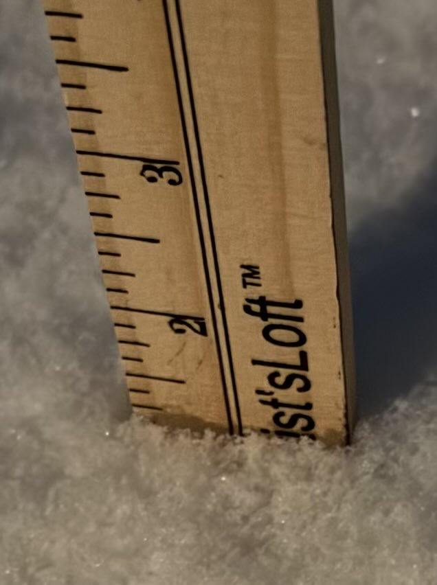 MaviSeattle tweet media