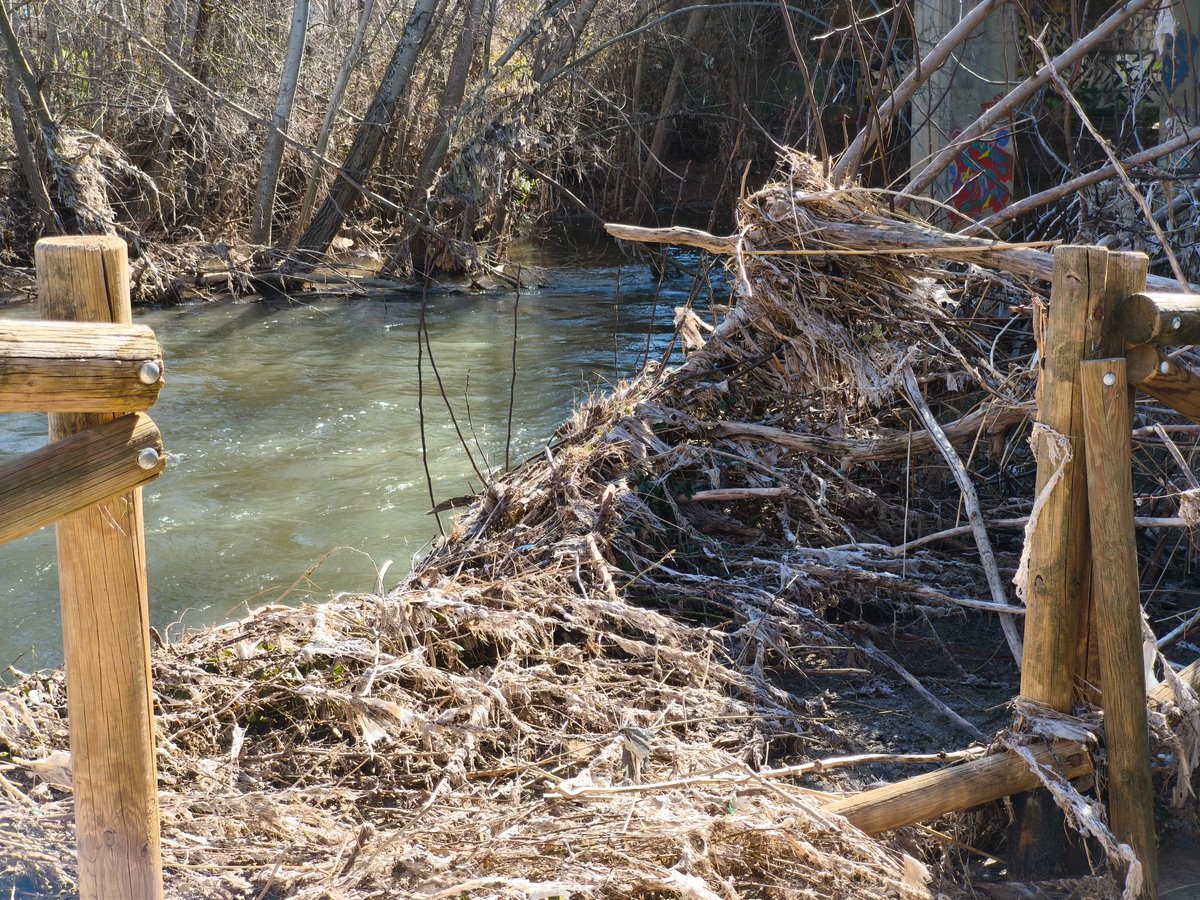 Grupo Socialista en Ayto. Guada / ♥️ tweet media