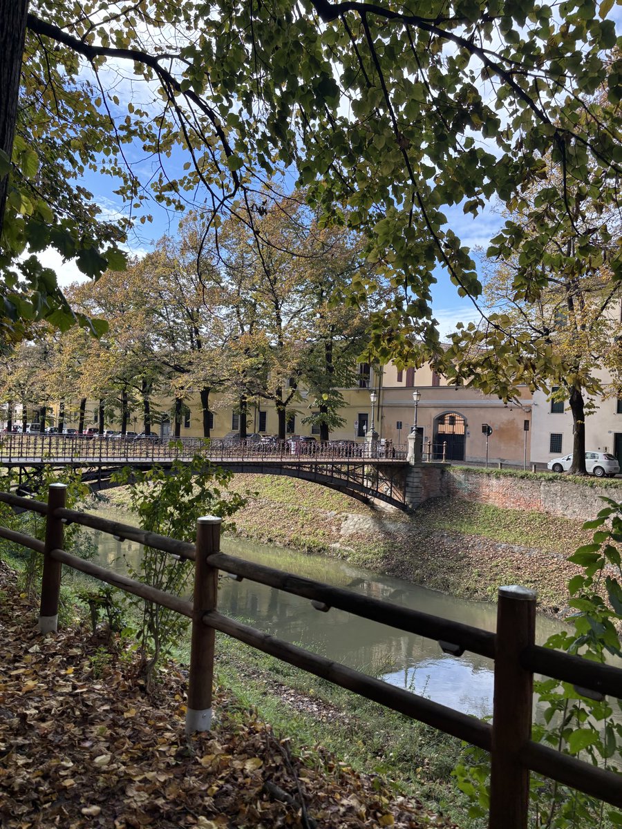 laurii💛🧸 tweet media