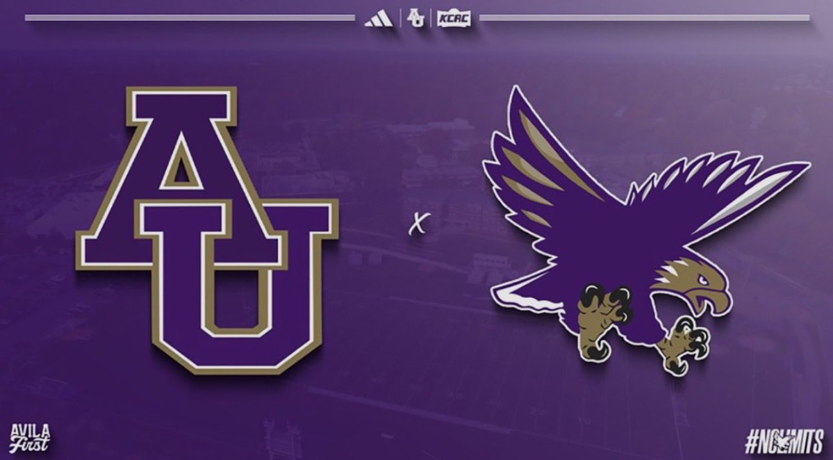 Bradley Doll tweet media