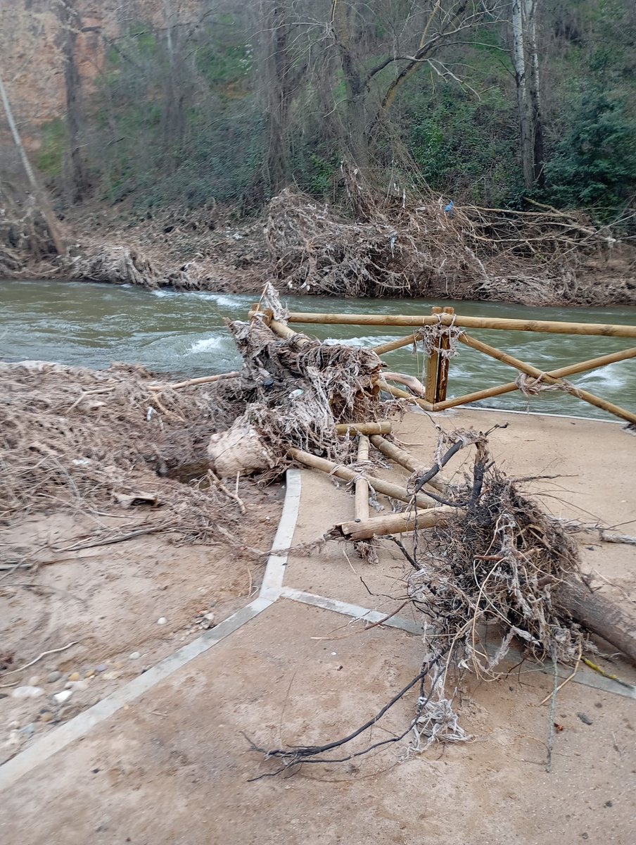 Grupo Socialista en Ayto. Guada / ♥️ tweet media