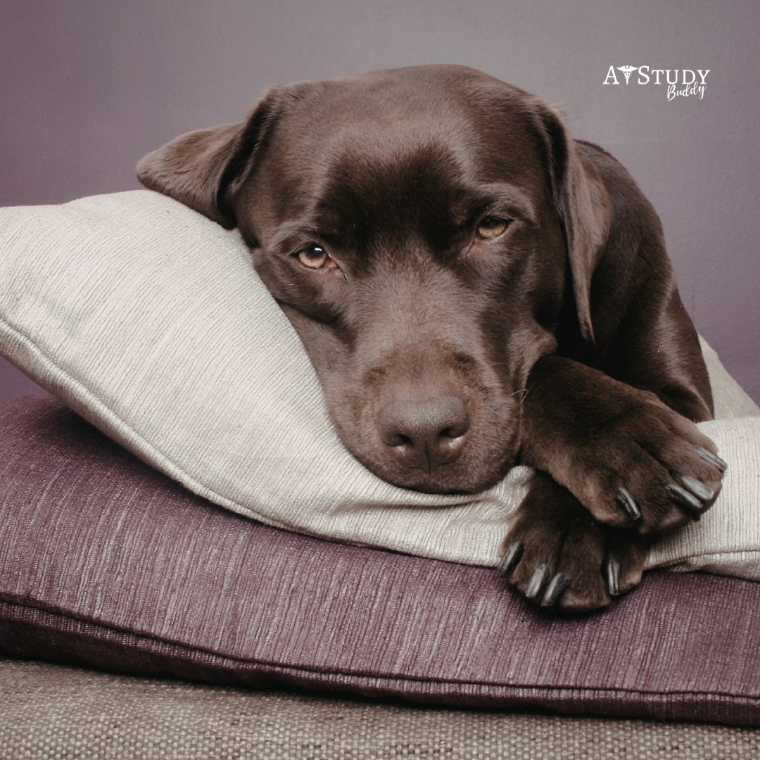 ATStudy Buddy tweet media