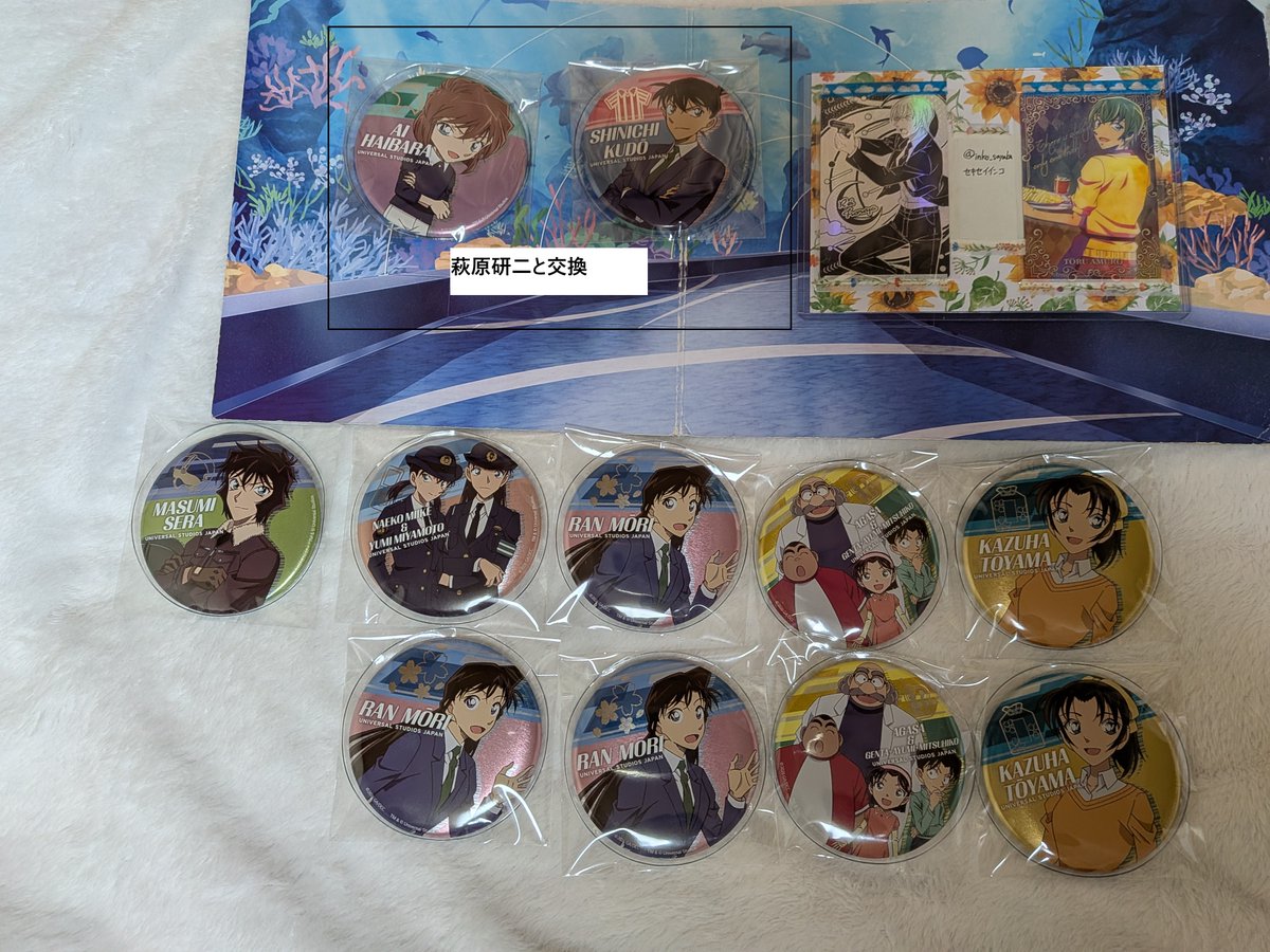 セキセイインコ tweet media