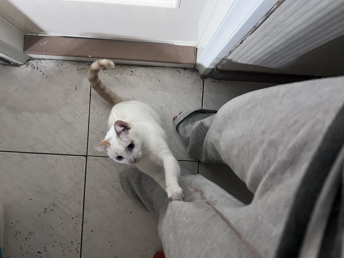 便當好好吃 tweet media