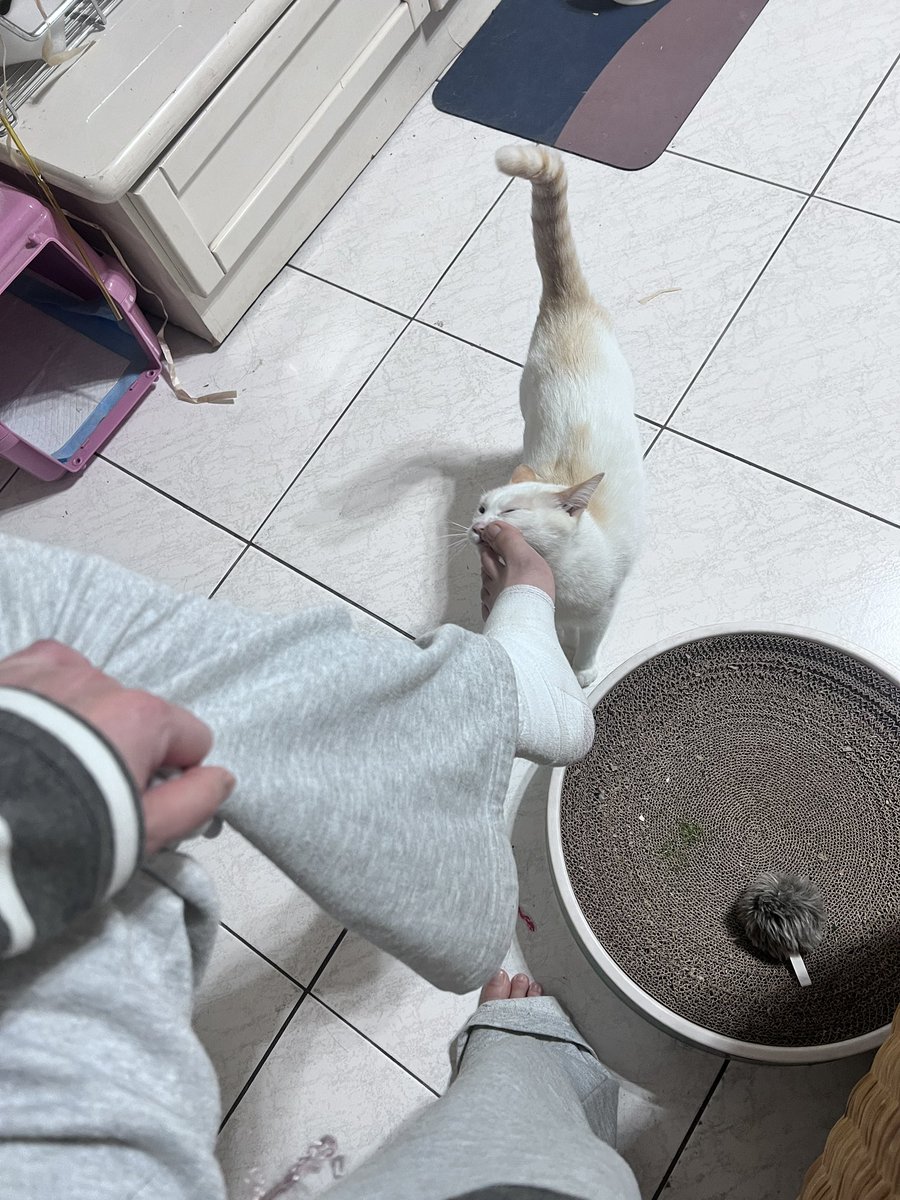 便當好好吃 tweet media