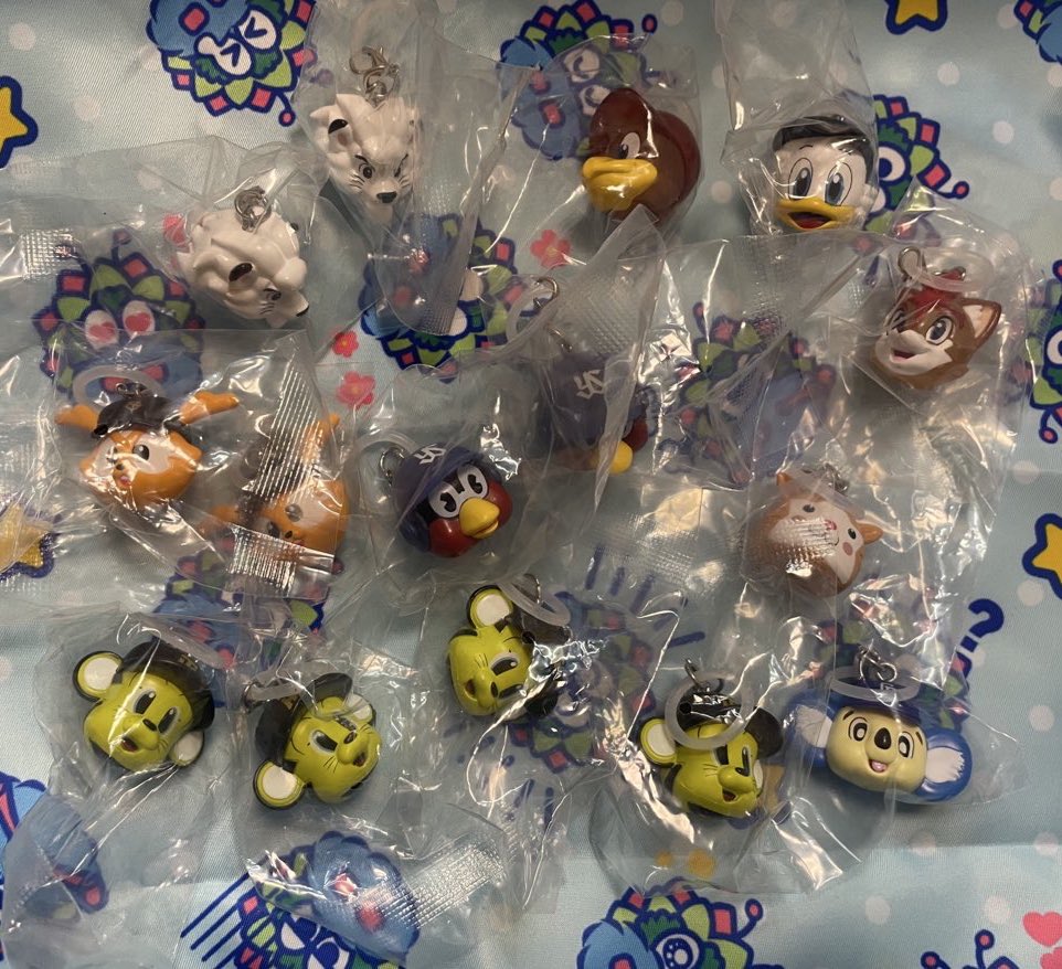 坂本有希奈 tweet media