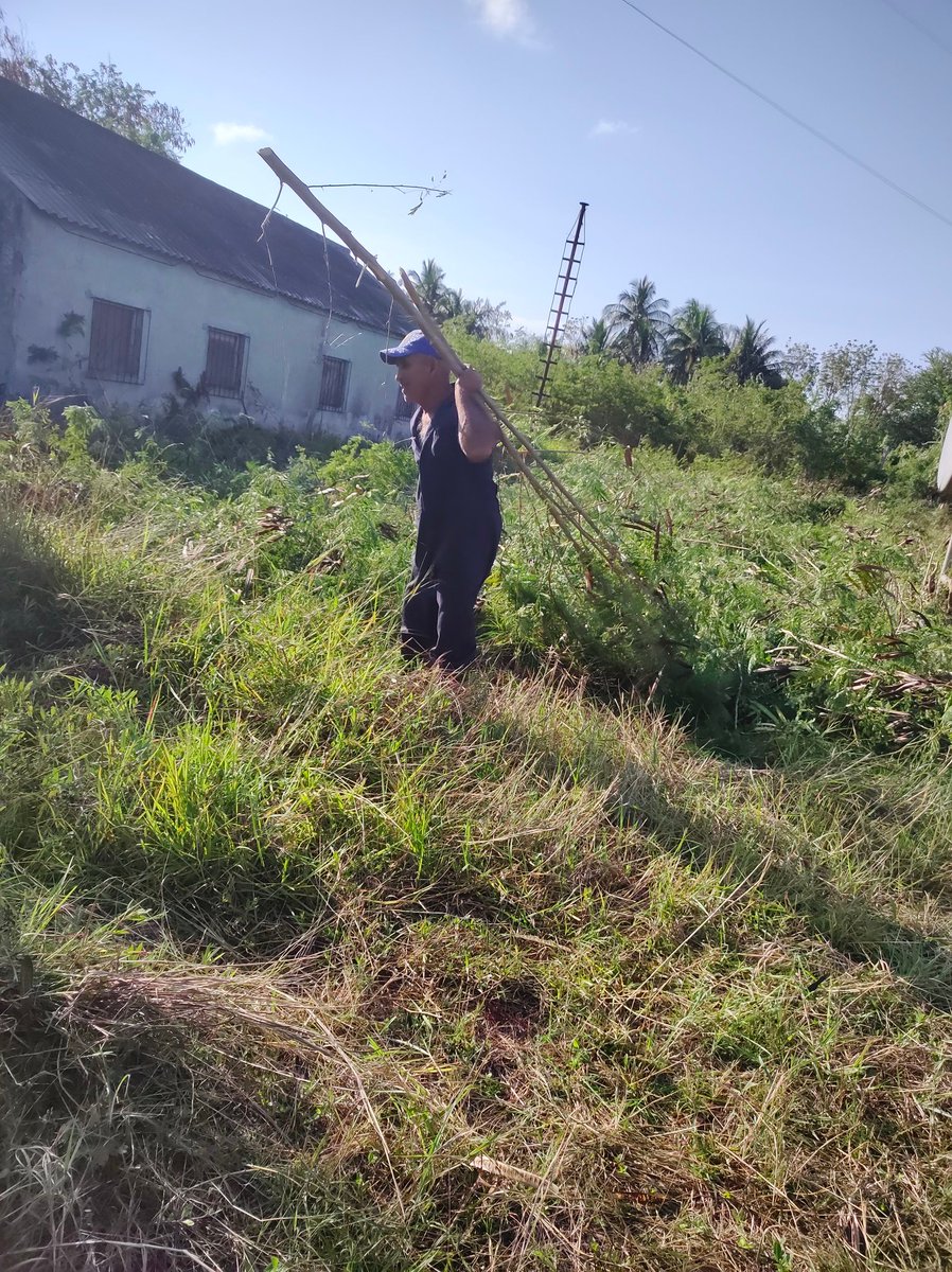 En otra jornada de cambio de labor se realiza una ofensiva en las áreas externas cercanas al taller de carpintería.#EpigranVaPorMás