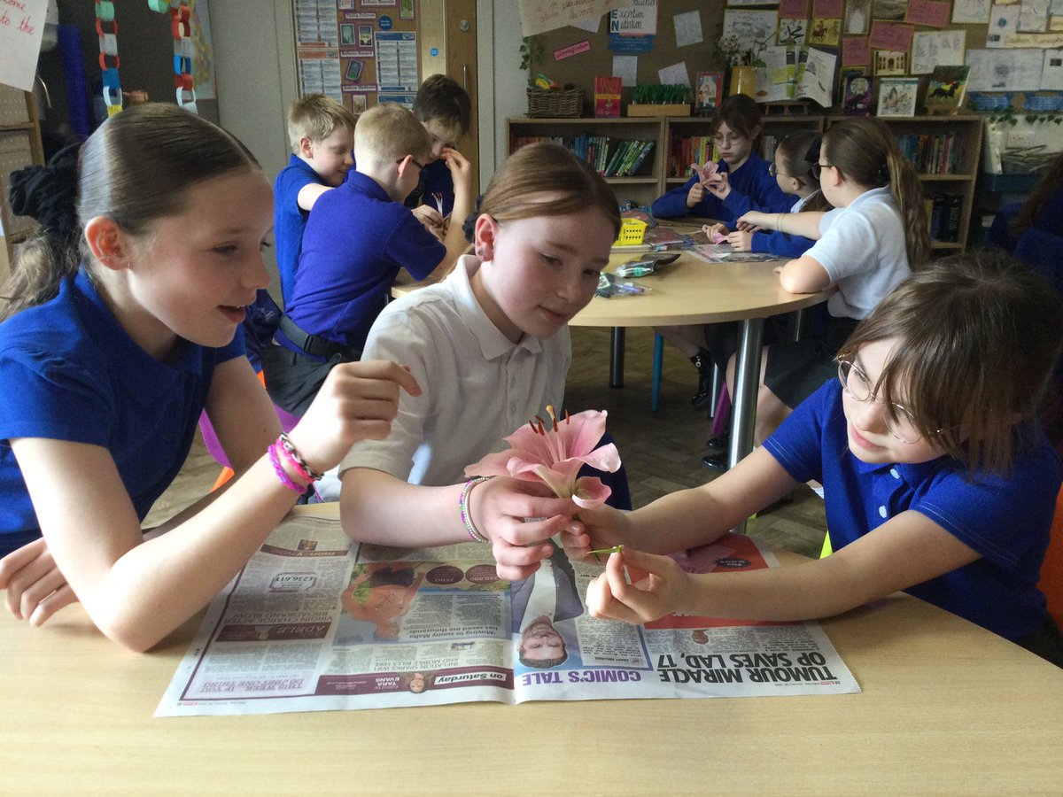 WhitegateOak tweet media