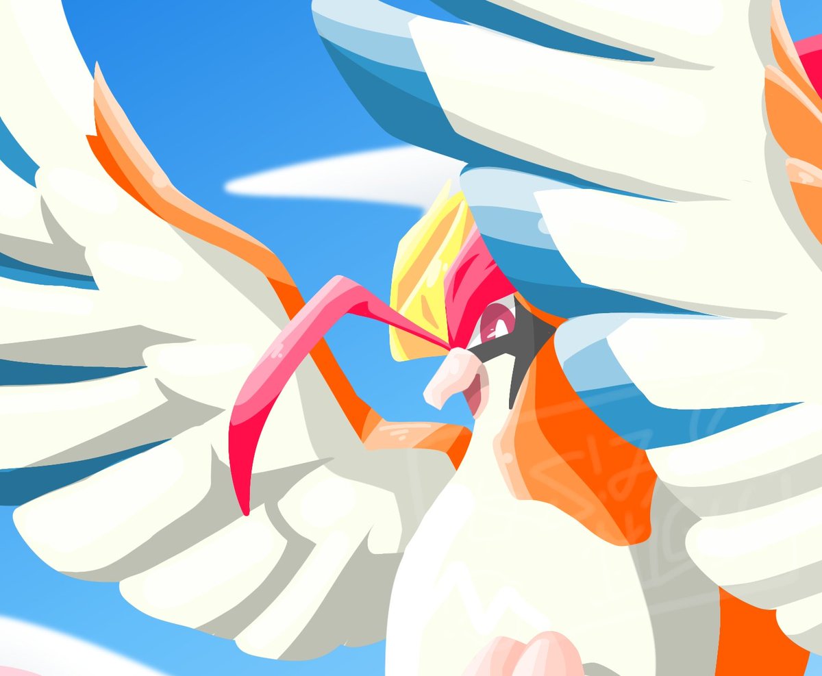 セルダム tweet media