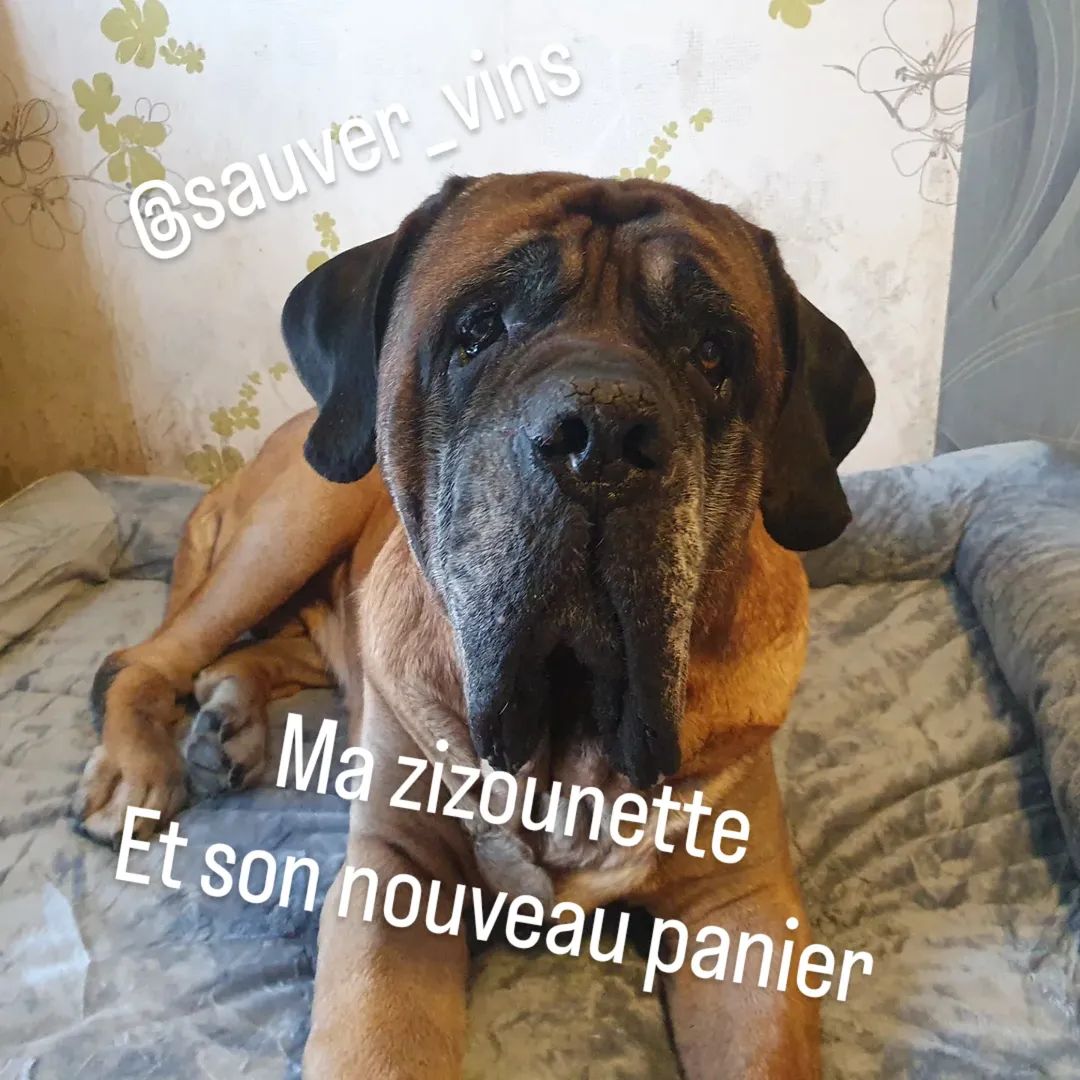 LGS | breuah tweet media