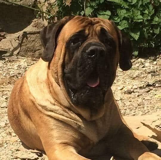 LGS | breuah tweet media