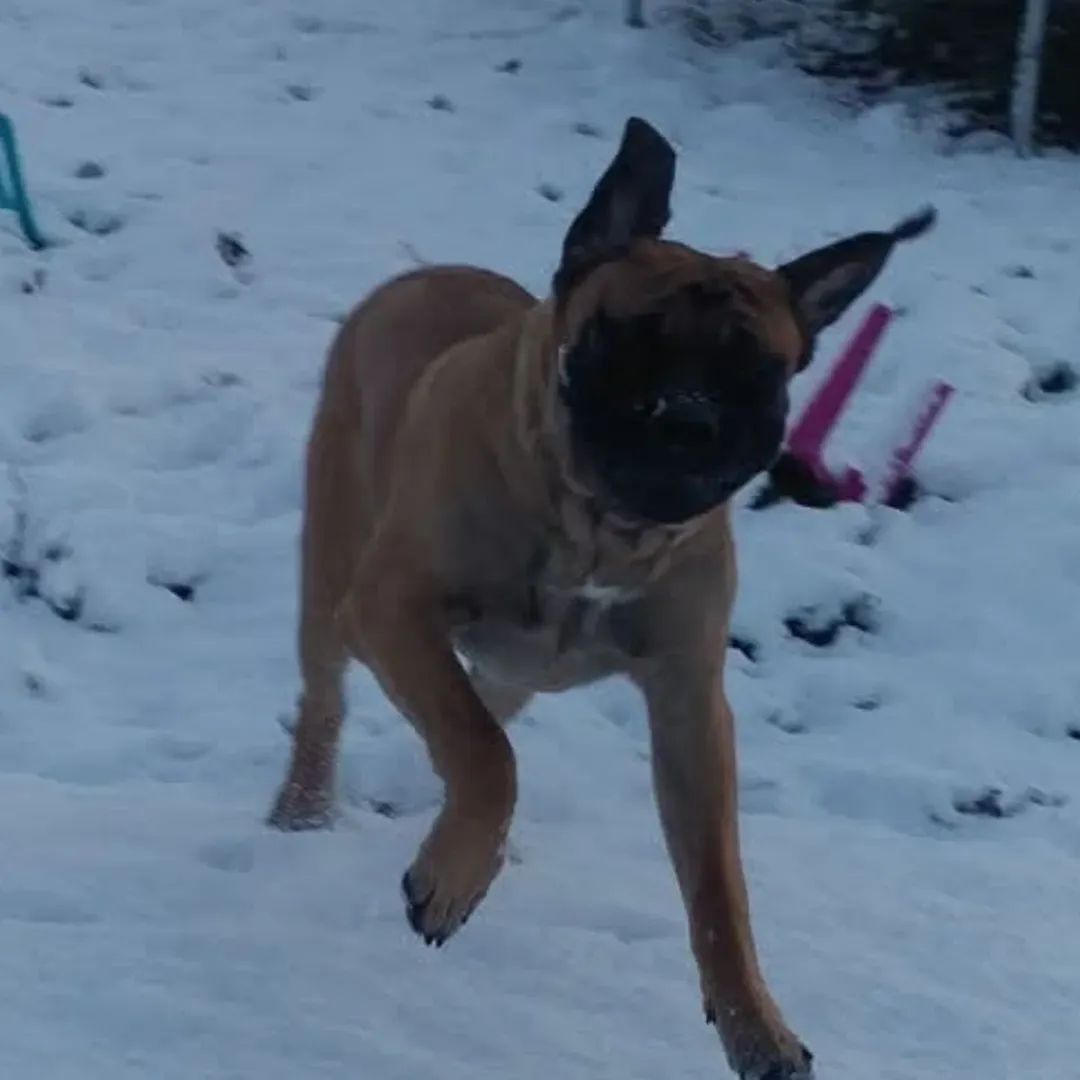 LGS | breuah tweet media