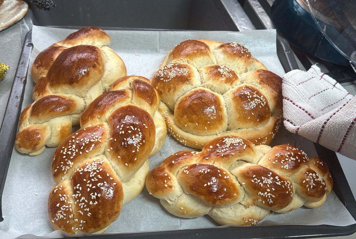 Rachel Touitou ~ רשל טויטו tweet media