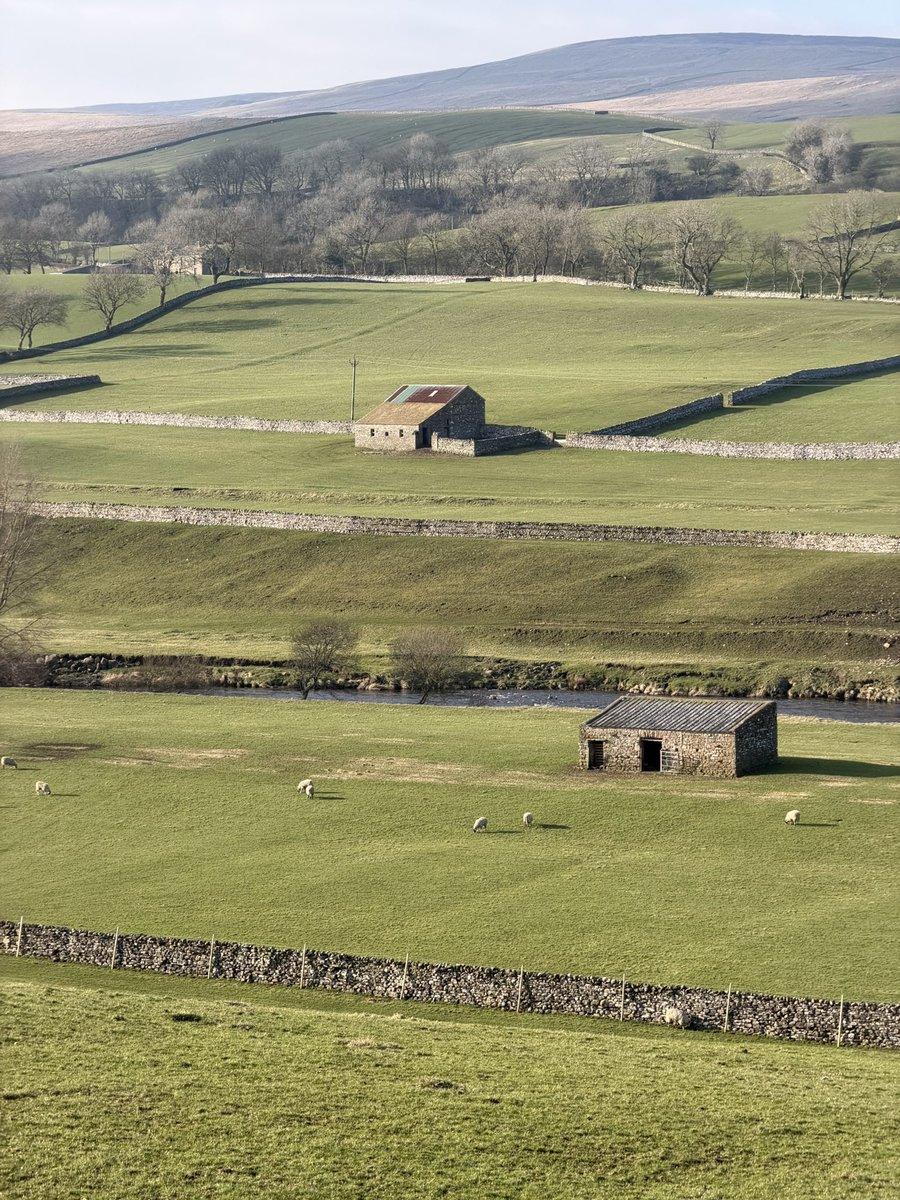 Postcard from Britain tweet media