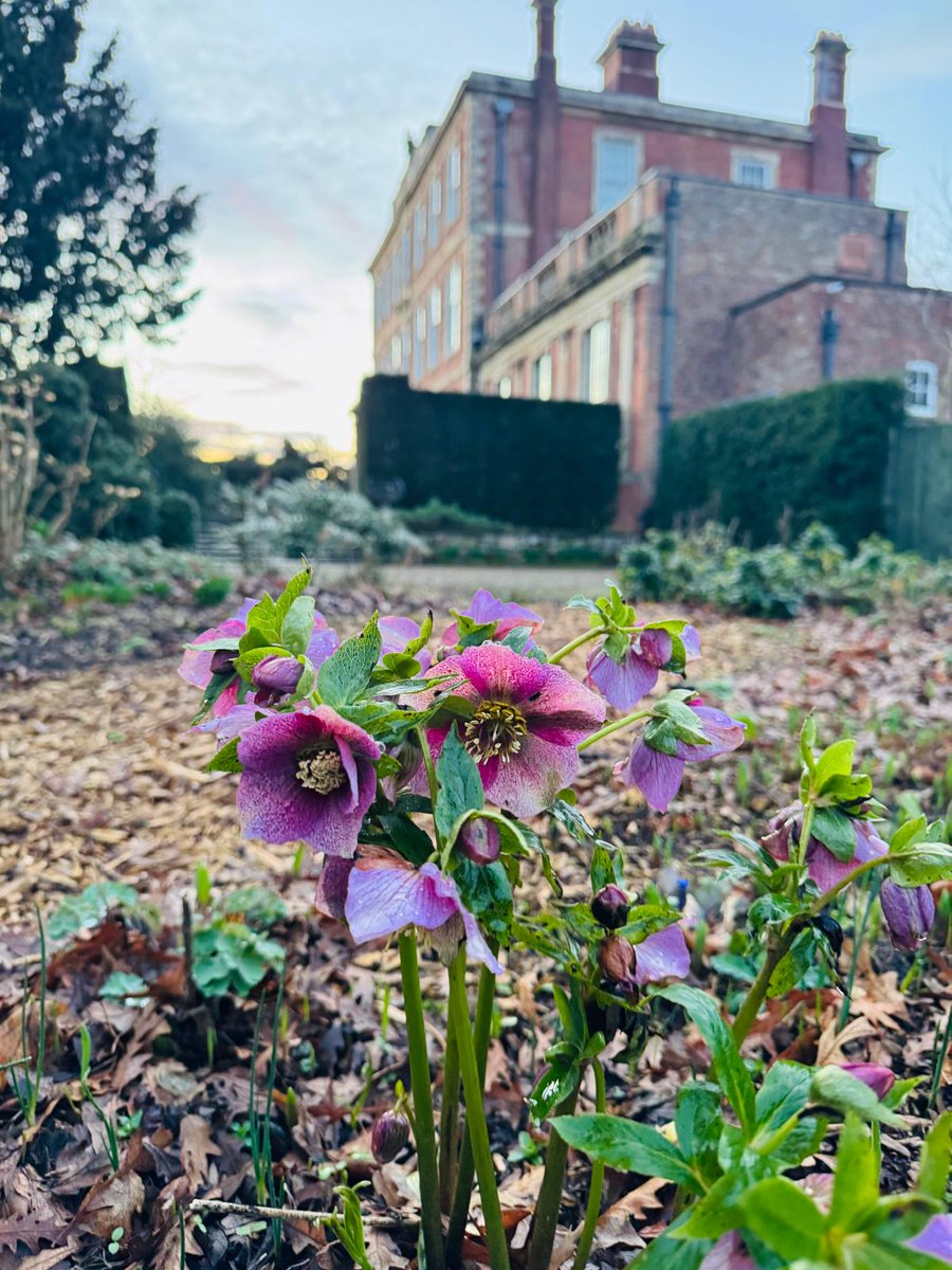 Middlethorpe Hall NT tweet media