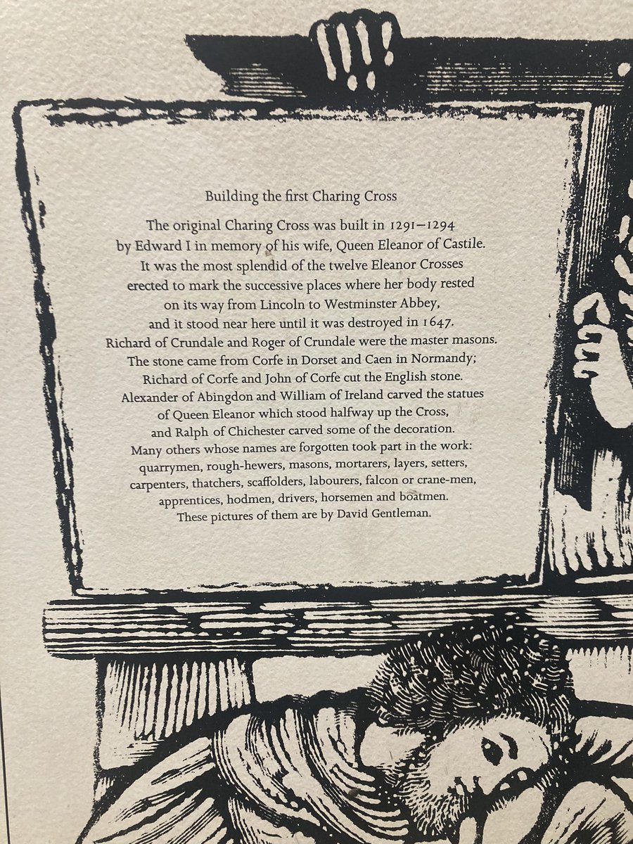 Madeleine Davies tweet media