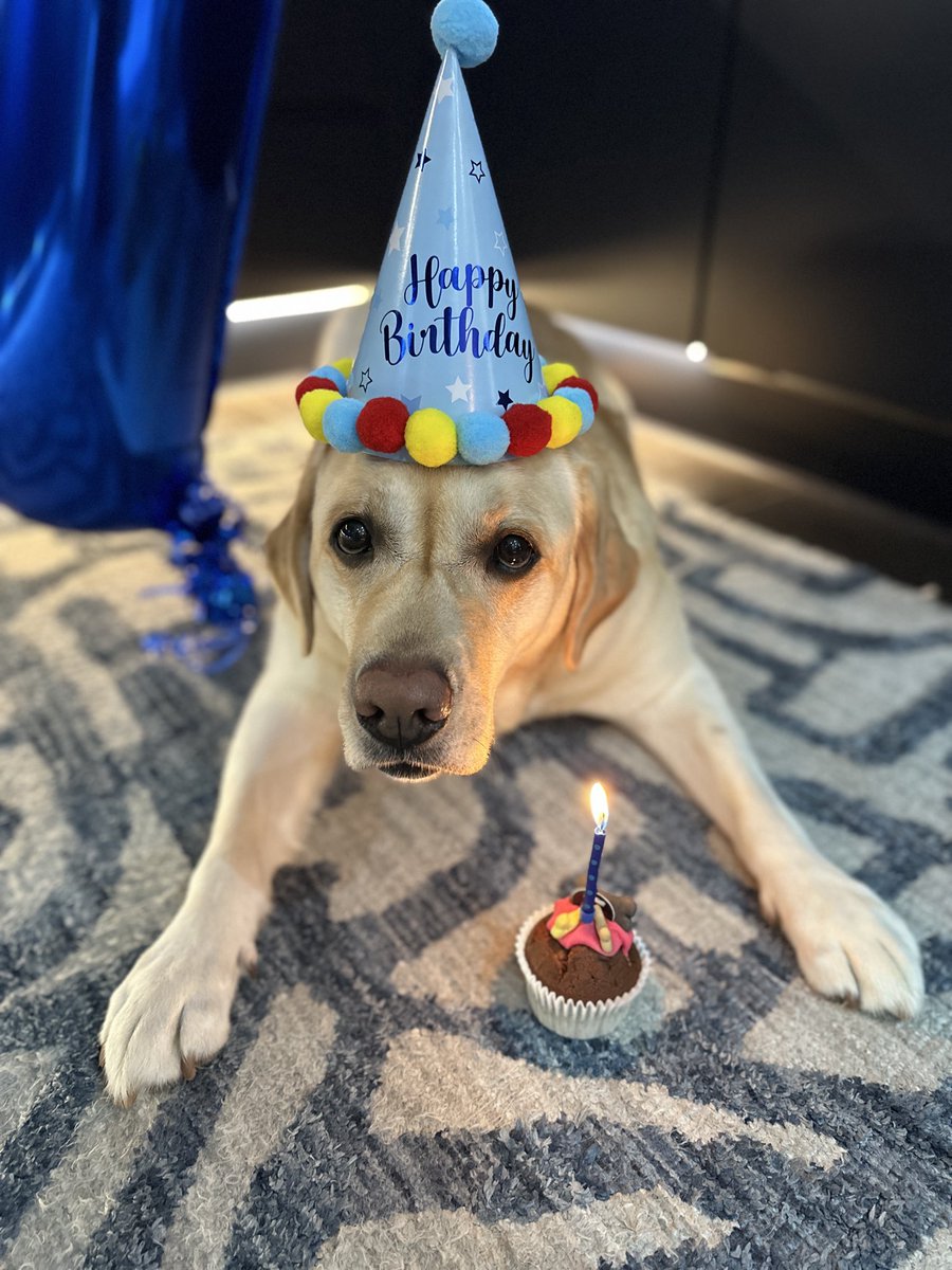 Cooper™️ tweet media