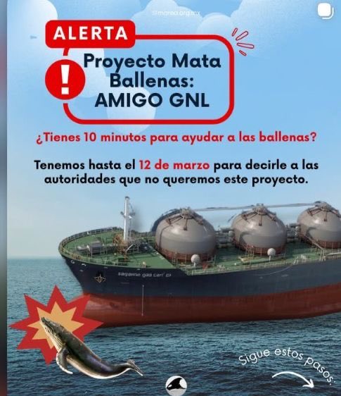 Michelle Rivera tweet media