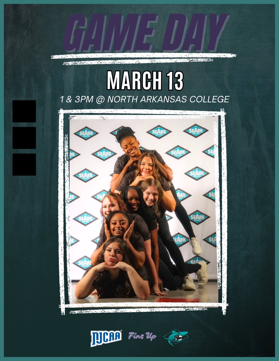 SEARK Softball tweet media