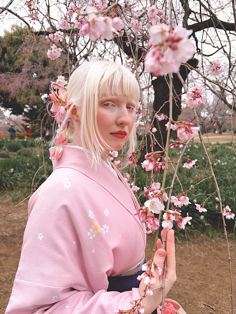 кимичан 🌸 tweet media