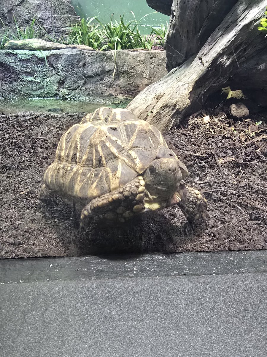 水族館に行った
マジで魔法の世界に入るみたいだね
