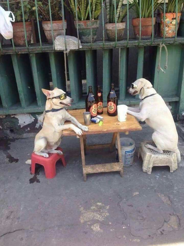 Dawood🇰🇪🇸🇦 tweet media