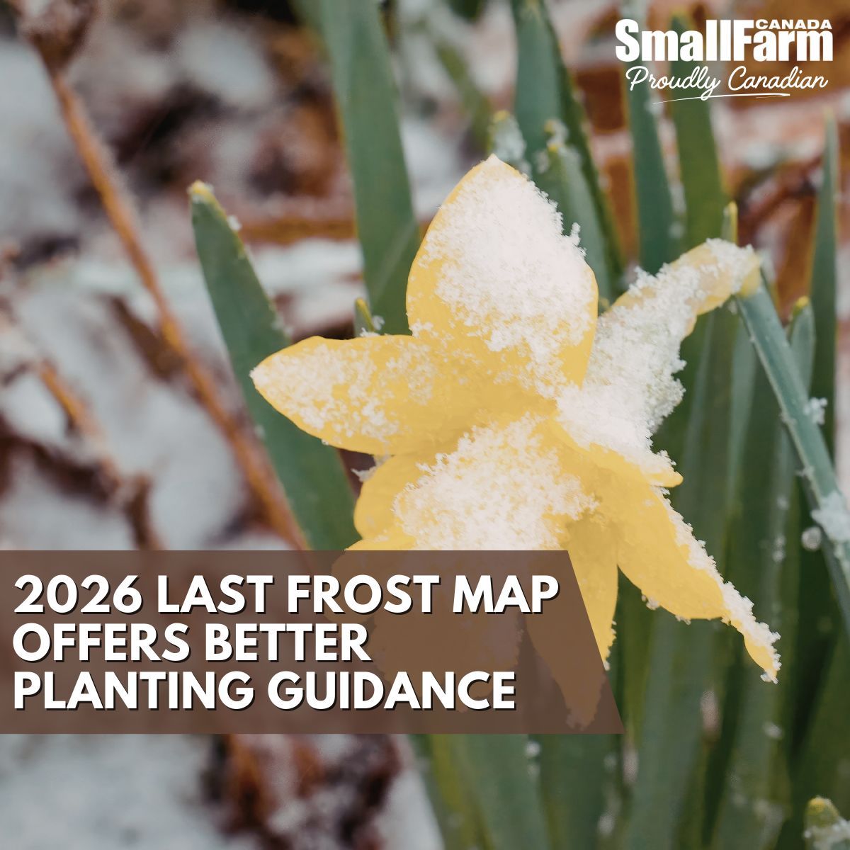 Small Farm Canada tweet media