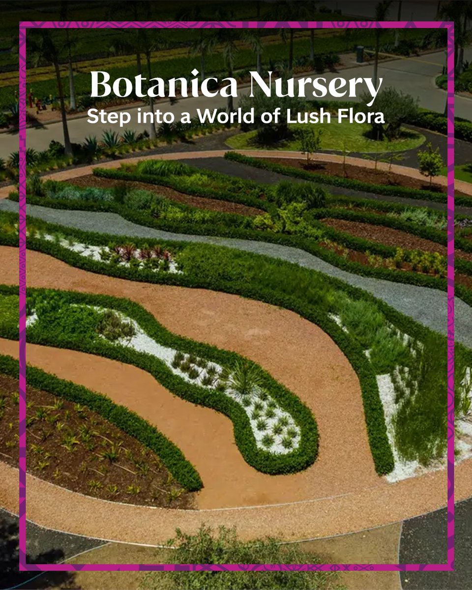 Visit Saudi tweet media