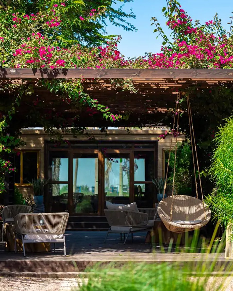 Visit Saudi tweet media